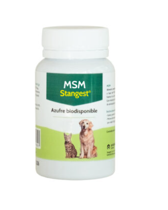 MSM pastilla