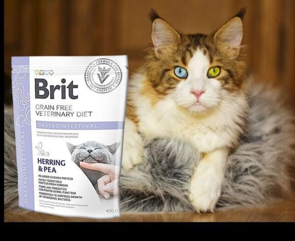 Brit GF Veterinary Diets Gastrointestinal 400mg