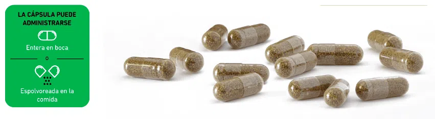 Hemdiol Flex - Imagen 2