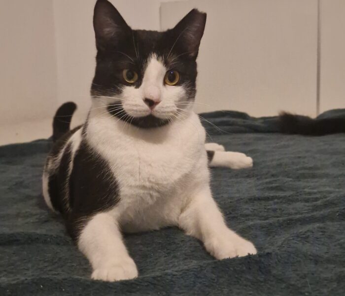 20251104_235050_033949