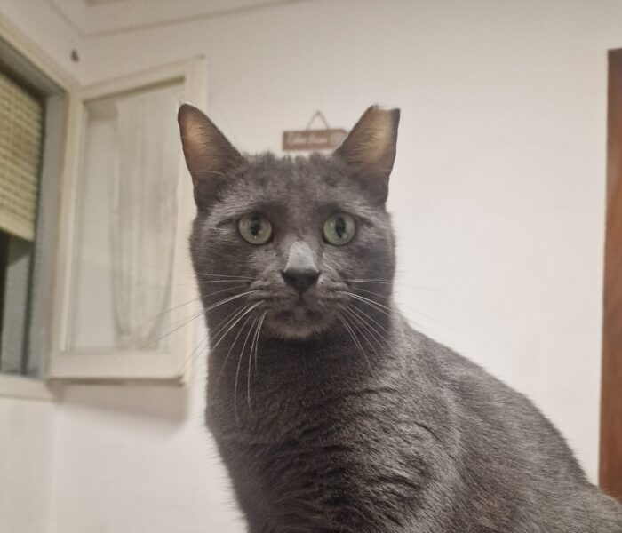 20251104_235256_033817