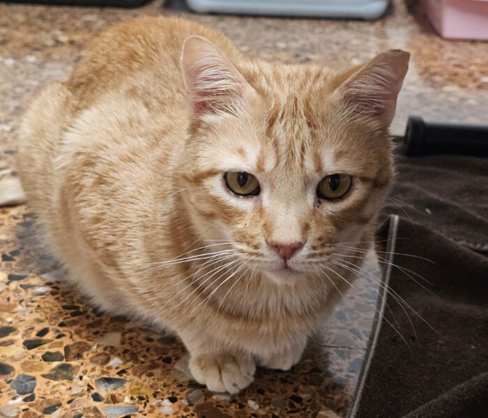 20251125_001300_032813