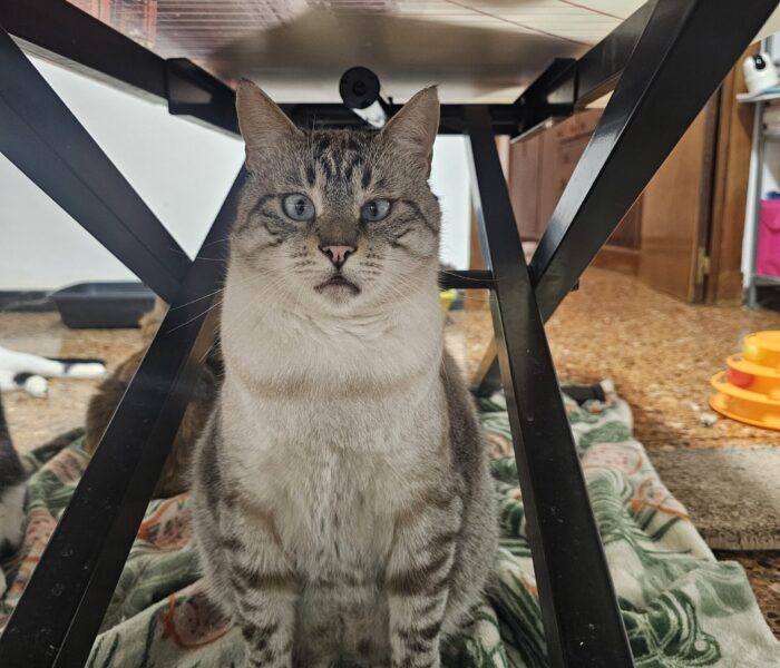 20251203_193532_032459