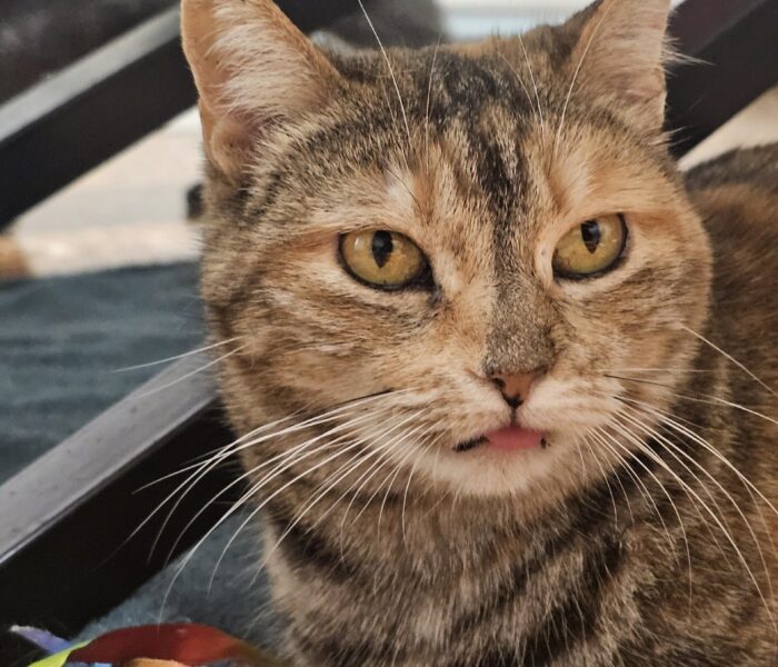 20260111_004618_031903