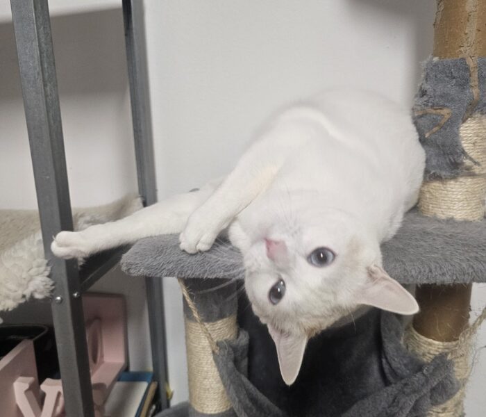 20260120_213641(0)_031612