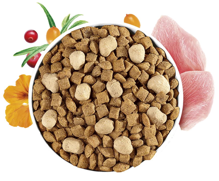 Brit Care Cat Raw Delights Sterilized carne fresca y liofilizado - Imagen 2