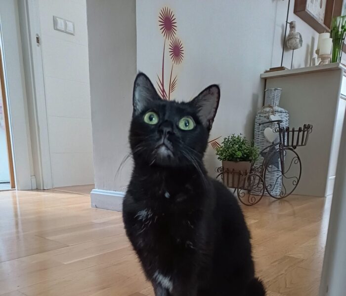 IMG-20250421-WA0120_031315