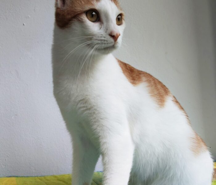 IMG-20250508-WA0206_034716