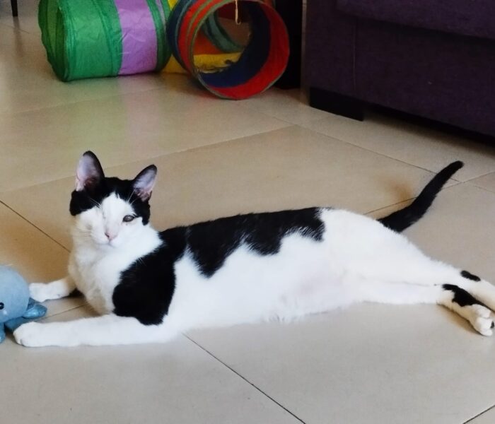 IMG-20250523-WA0076_034713