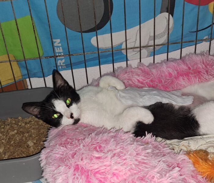 IMG-20250526-WA0074_034708