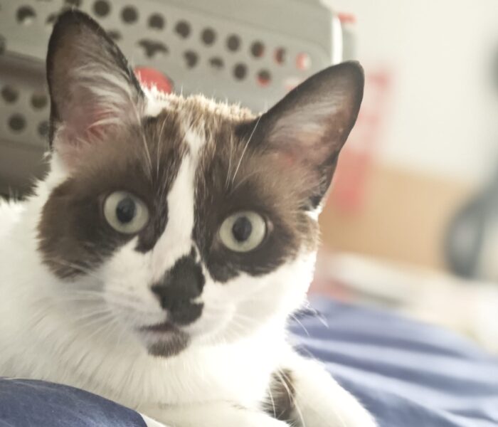 IMG-20251207-WA0000_030348