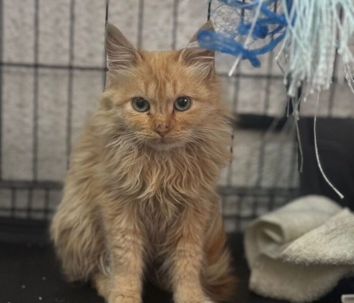 IMG-20251207-WA0030_032328