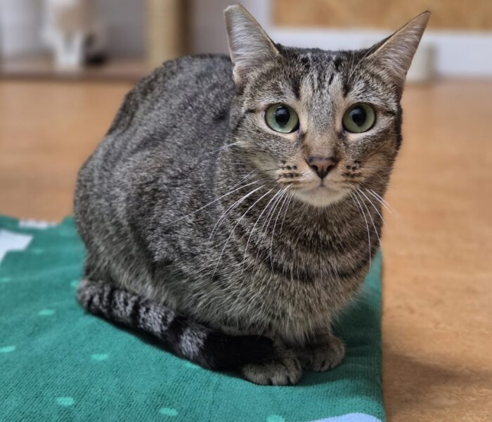 IMG-20251215-WA0131_030220