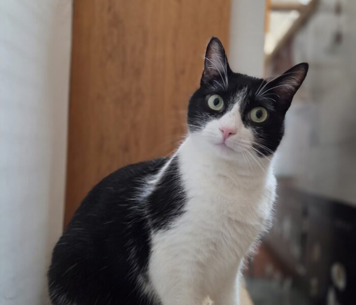 IMG-20251215-WA0135_030237