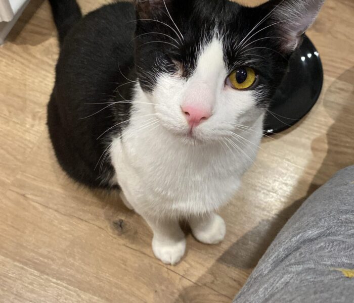 IMG-20251215-WA0157_042045