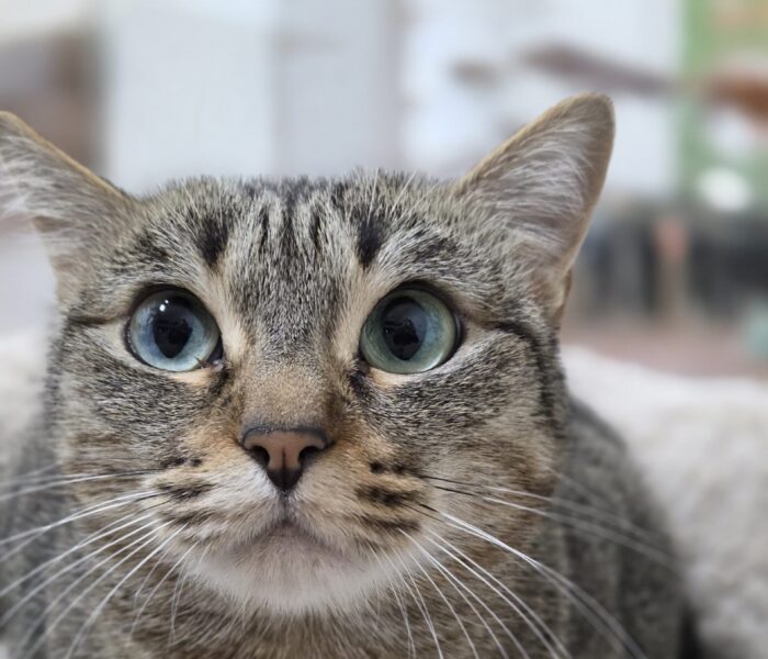 IMG-20251218-WA0116_030300