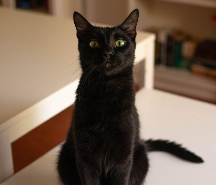 IMG-20251231-WA0059_030414