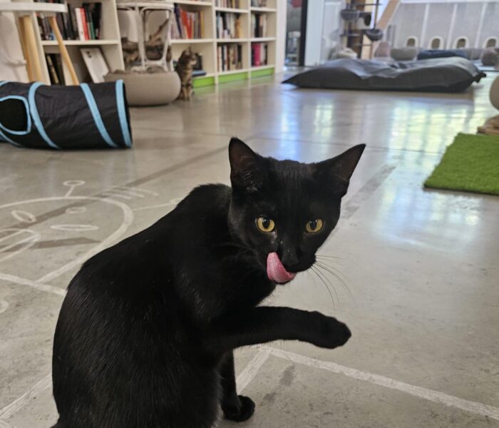 IMG-20251231-WA0062_030419