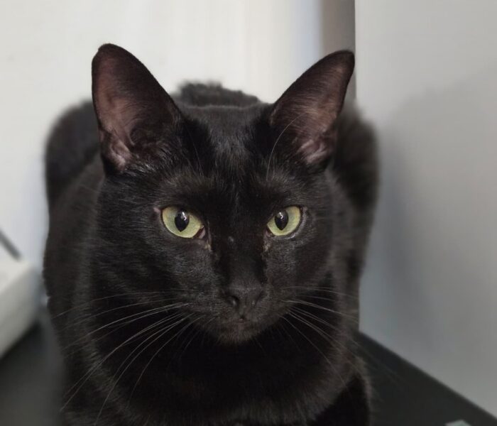 IMG-20260108-WA0084_030607