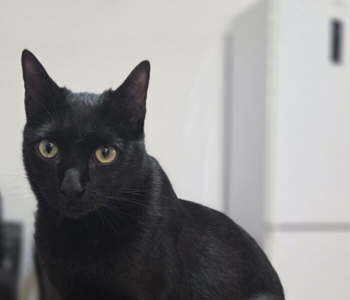 IMG-20260108-WA0090_030610