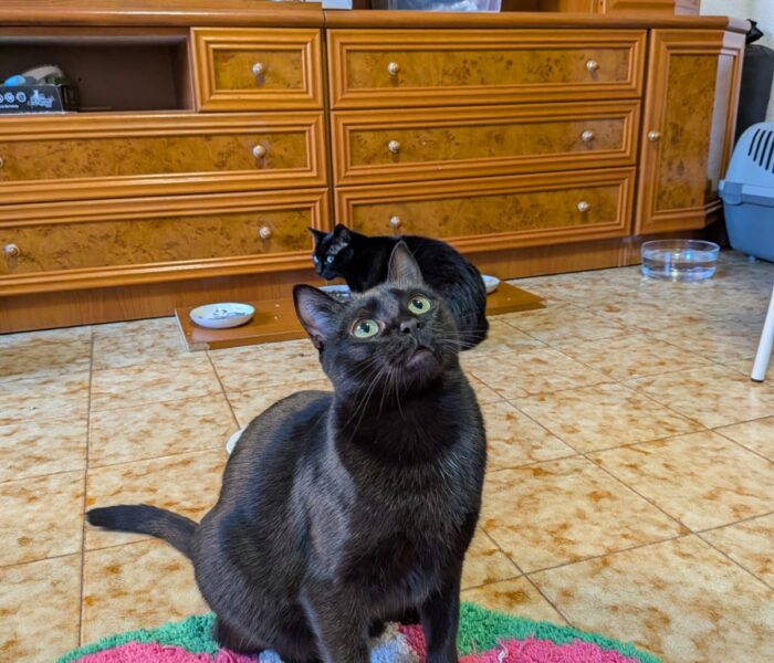 IMG-20260110-WA0051_032020