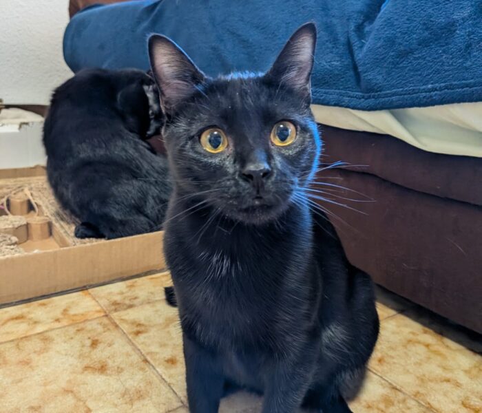 IMG-20260110-WA0053_032015