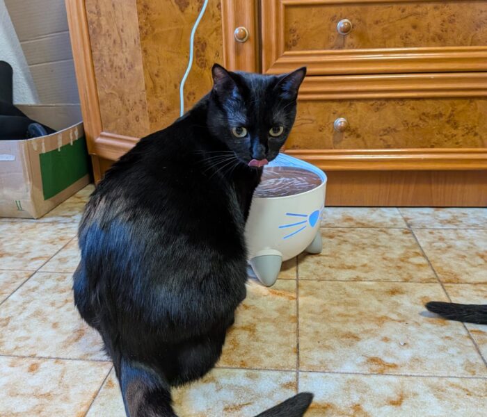 IMG-20260110-WA0061_032004