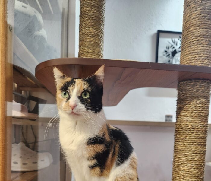 IMG-20260110-WA0115_030510