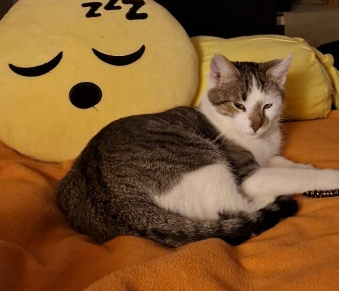 IMG-20260114-WA0001_030521