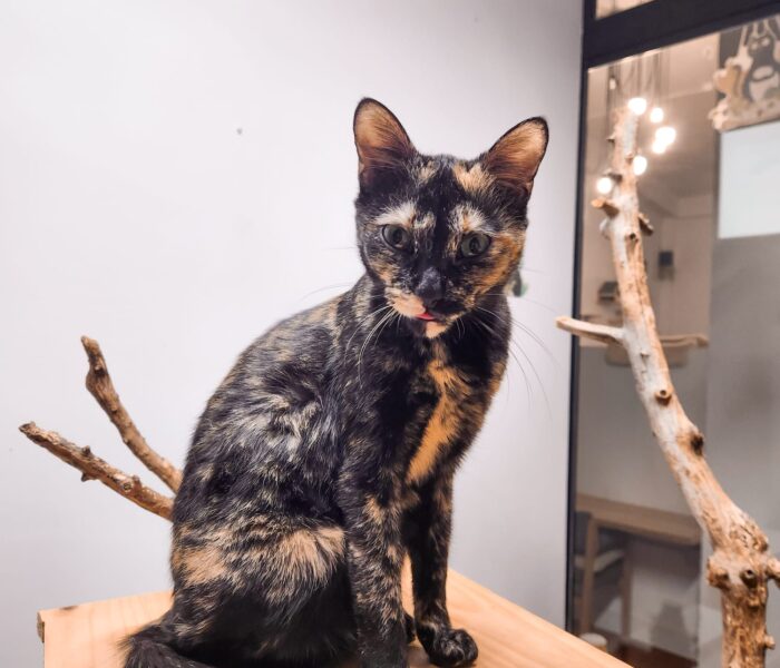 IMG-20260122-WA0200_030636