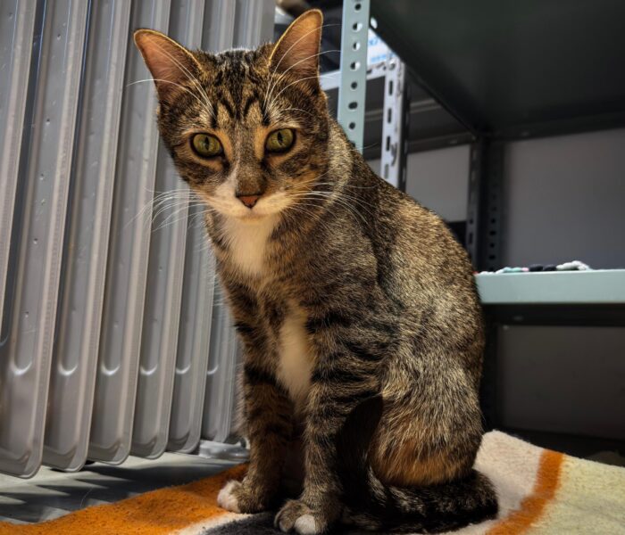 IMG-20260126-WA0181_030726