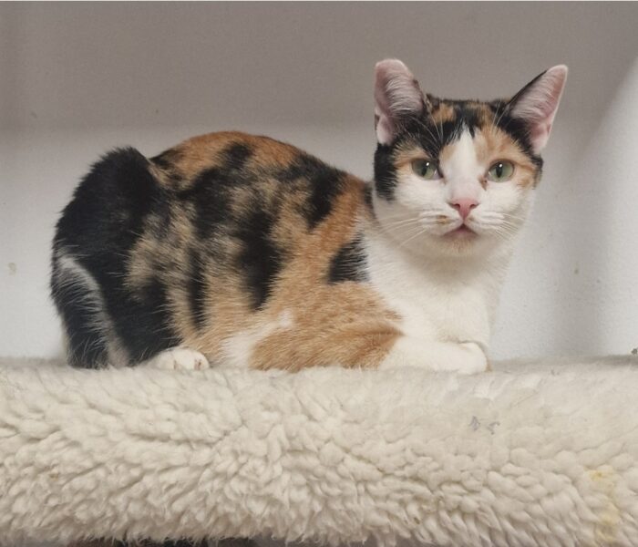 Screenshot_20260129_095907_Gallery_031011