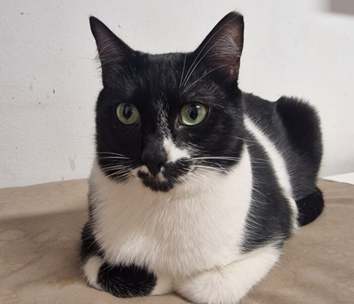 Screenshot_20260129_095951_Gallery_030900