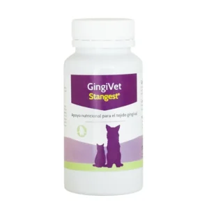 Gingivet Stangest